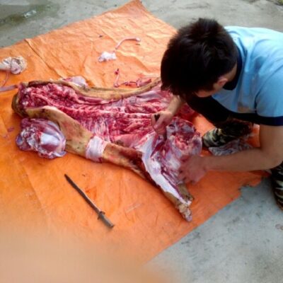 thịt bê thui xô (loại trên 60 kg)