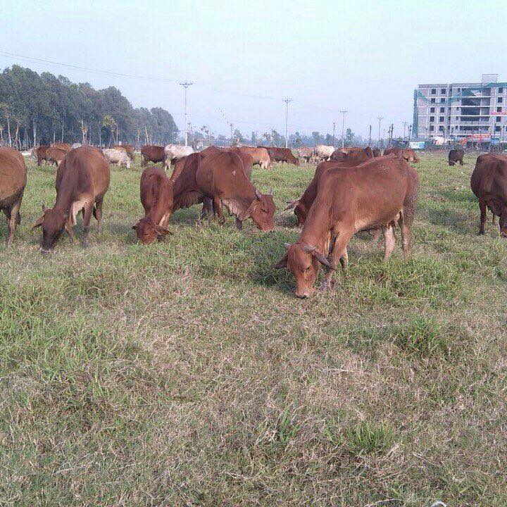 14906933-1777062999248329-9170645834361909173-n