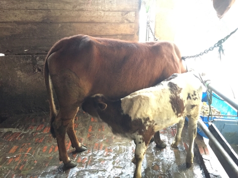 169db384-daa5-4117-9ff8-bd4cf3efcfd5-jpeg