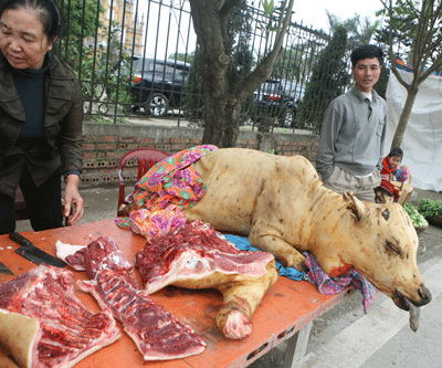 thịt bê thui (loại dưới 60 kg)