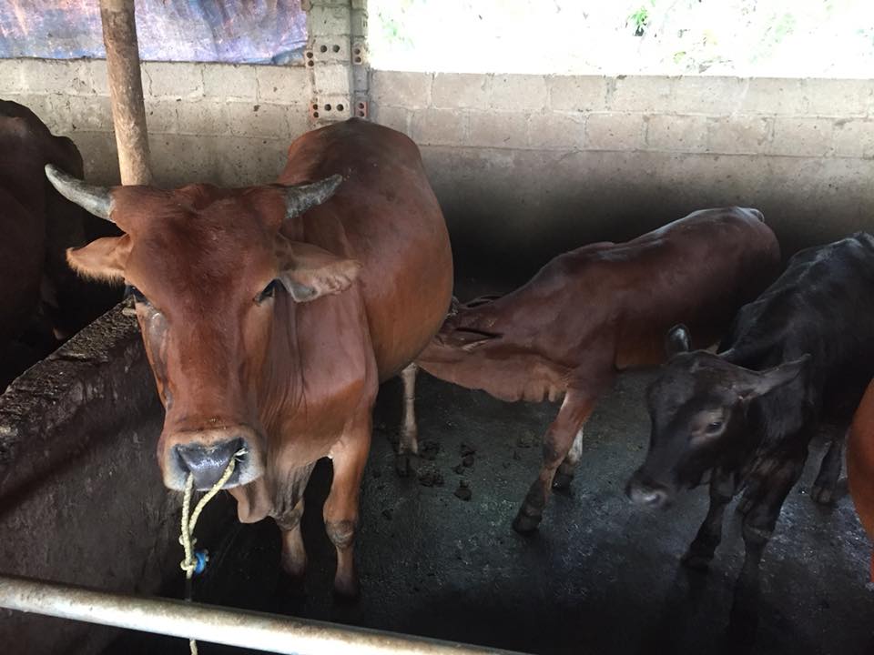 bo-sinh-san-16-9-2-1