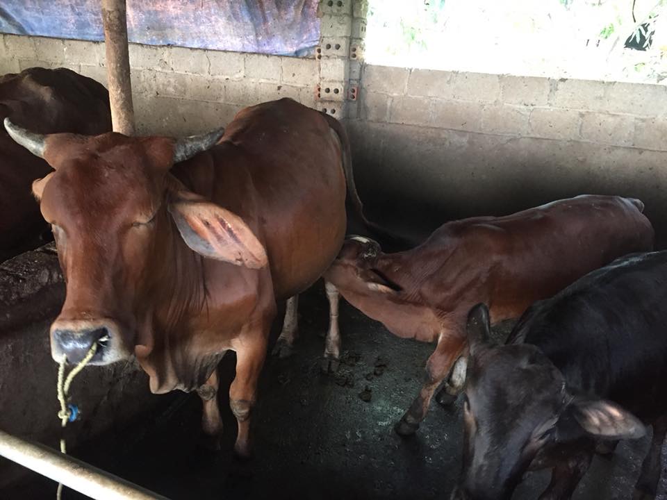 bo-sinh-san-16-9-3-1