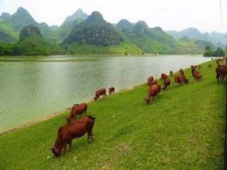 booooooooooooooooooooooo-2