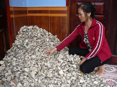 images773265_p1090355