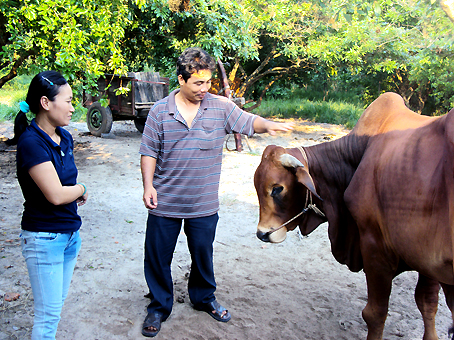 images862040_8_lai_bo_2 Anh Nguyễn Văn Bí đang thỏa thuận với một người có ý định bán bò.