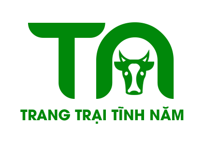 TRANG TRẠI BÒ GIỐNG