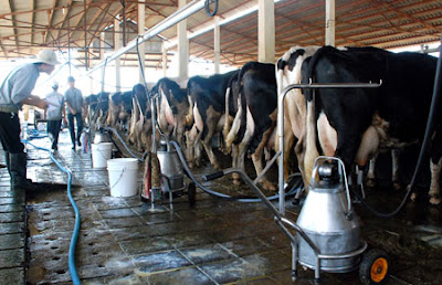 s25c625afaxxxxxxxxxxx